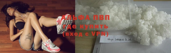 бошки Дмитриев