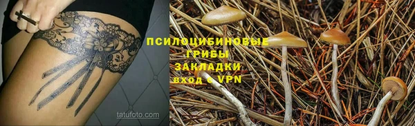 бошки Дмитриев