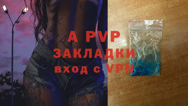 бошки Дмитриев